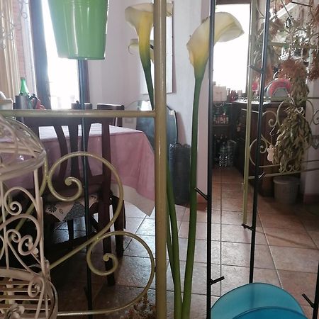 أروسييْ B&B Casacori المظهر الخارجي الصورة