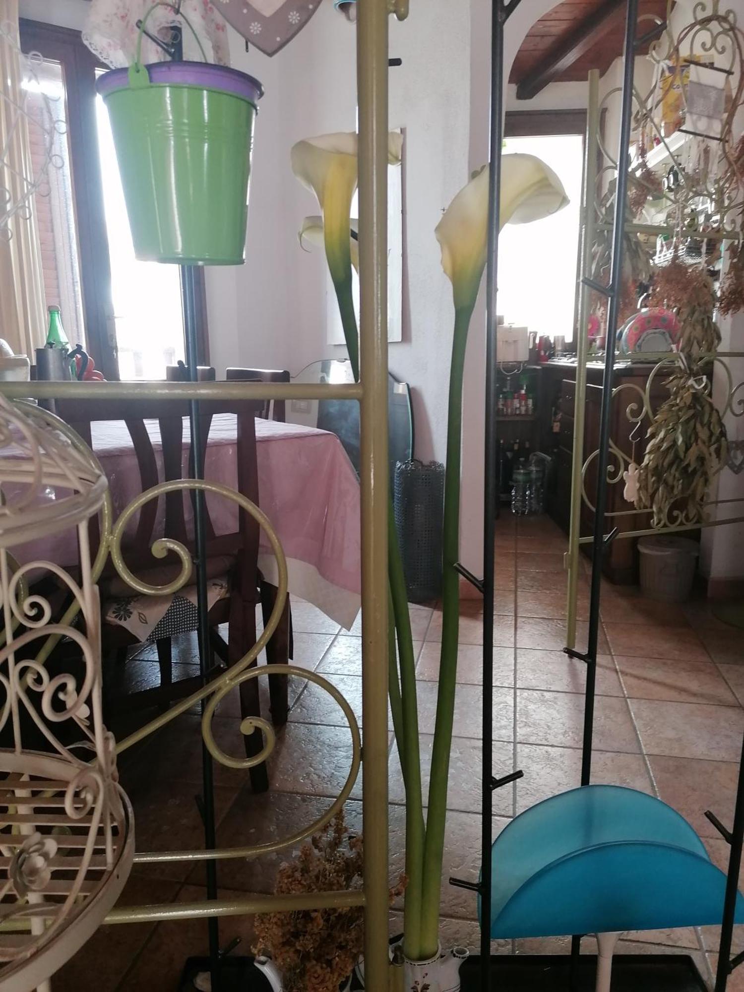 أروسييْ B&B Casacori المظهر الخارجي الصورة