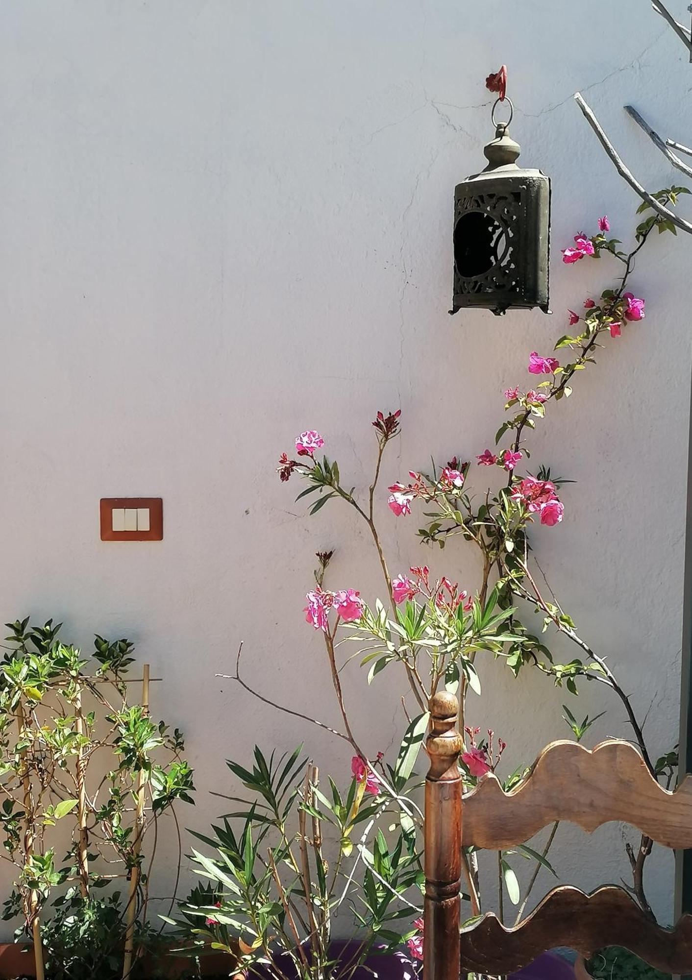 أروسييْ B&B Casacori المظهر الخارجي الصورة