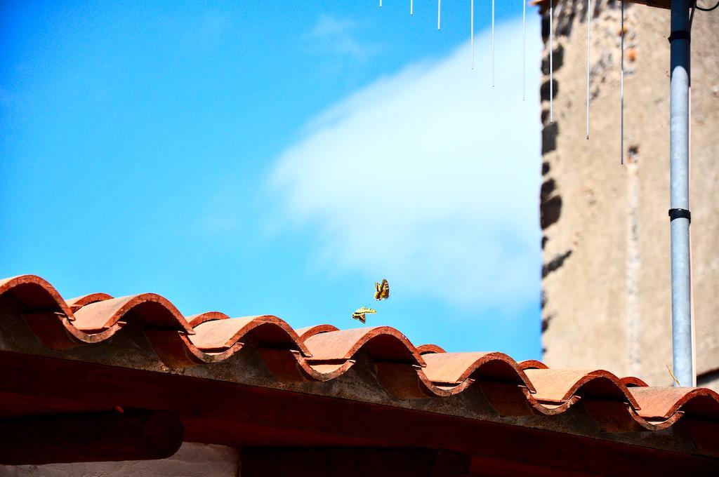 أروسييْ B&B Casacori المظهر الخارجي الصورة